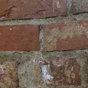 Meet your Posher, Ella